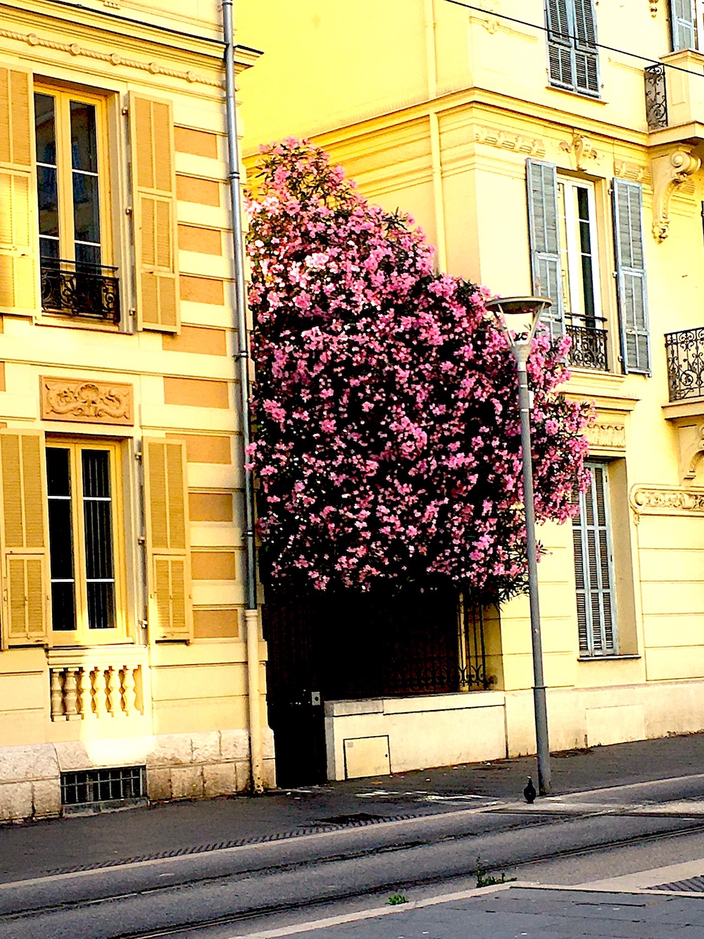 Desireless sans voyage