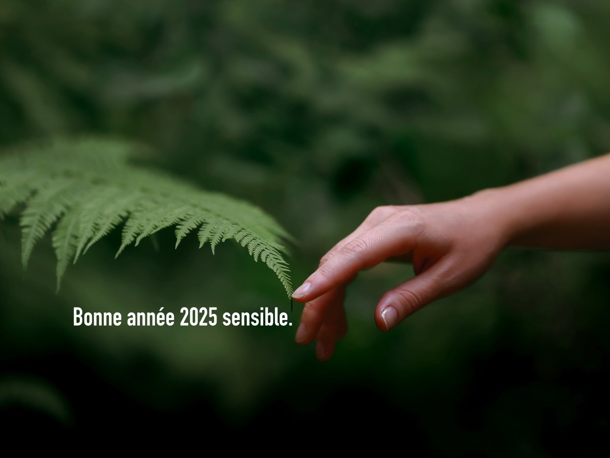 Voeux 2025