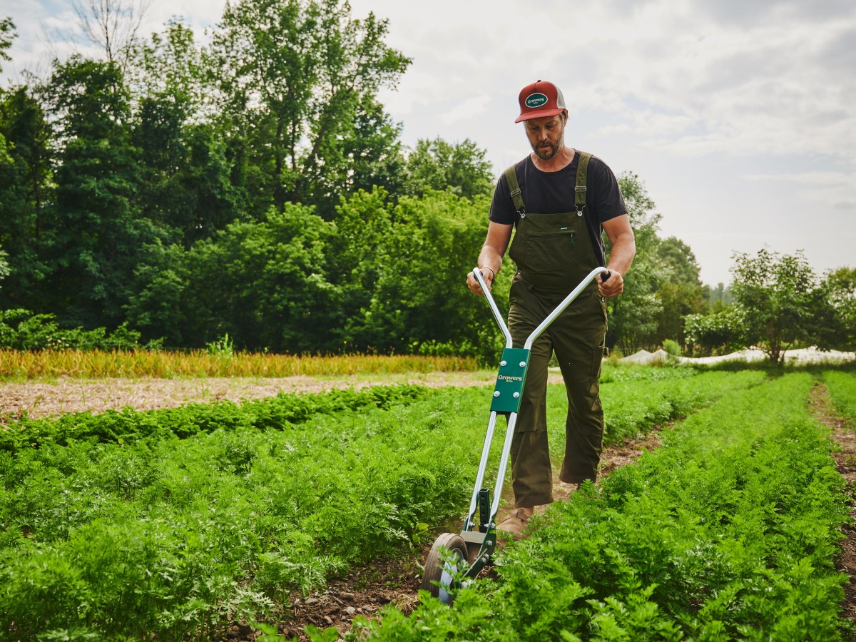 Jean-Martin FORTIER  Un printemps arable qui trace son sillon&nbsp;?